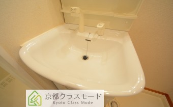 シャンプードレッサー