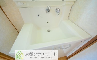 シャンプードレッサー