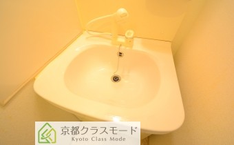 シャンプードレッサー