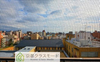 眺望・南向き
