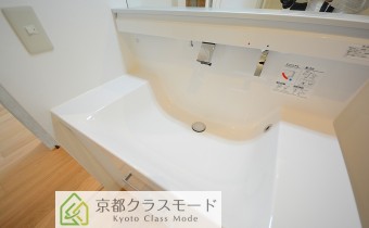 シャンプードレッサー