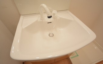 シャンプードレッサー