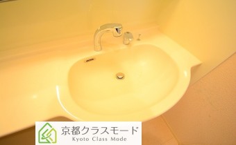 シャンプードレッサー