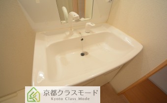 シャンプードレッサー