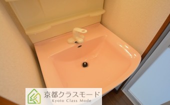 シャンプードレッサー