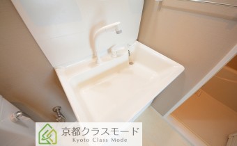 シャンプードレッサータイプ