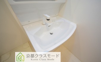 シャンプードレッサー