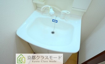 シャンプードレッサー