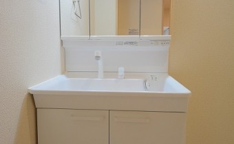 シャンプードレッサー