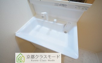シャンプードレッサー
