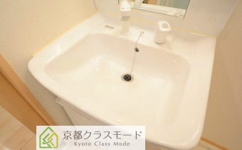 シャンプードレッサー