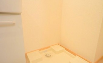 室内洗濯機置場