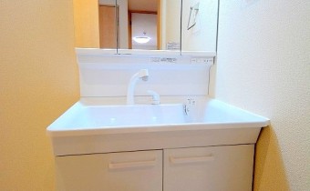 シャンプードレッサー