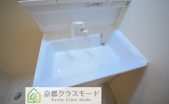 シャンプードレッサー