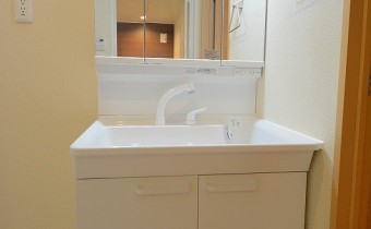 シャンプードレッサー