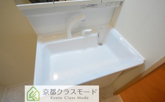 シャンプードレッサー