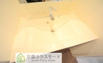 シャンプードレッサー