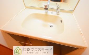 シャンプードレッサータイプ