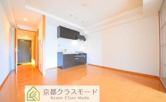 LDK9.5帖・別アングル