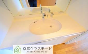 シャンプードレッサー