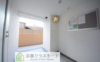 ホール