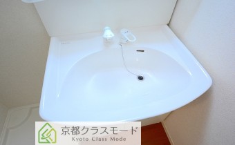 シャンプードレッサー