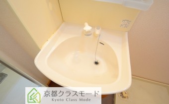 シャンプードレッサー