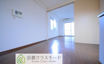 DK5.6帖
