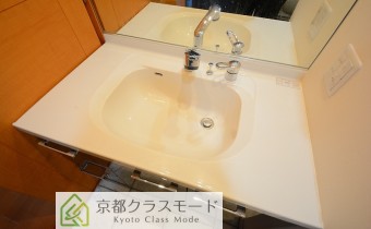 シャンプードレッサー