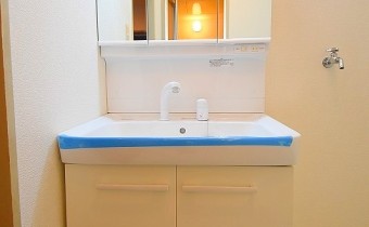 シャンプードレッサー