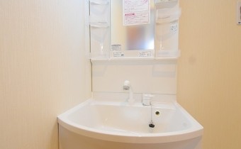 シャンプードレッサー