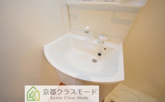シャンプードレッサー