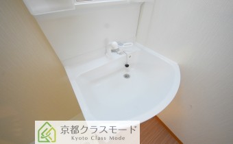 シャンプードレッサー