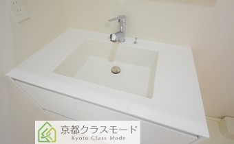 シャンプードレッサー