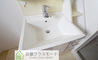シャンプードレッサー