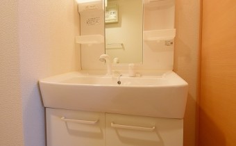 シャンプードレッサー