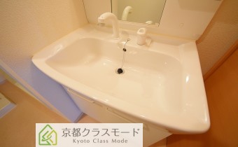 シャンプードレッサー
