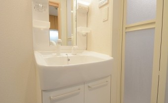 シャンプードレッサー