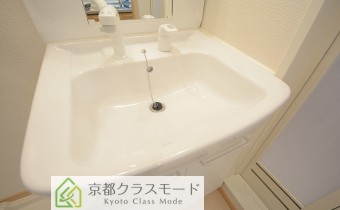 シャンプードレッサー