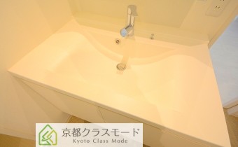 シャンプードレッサー
