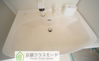 シャンプードレッサー