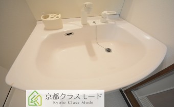 シャンプードレッサー