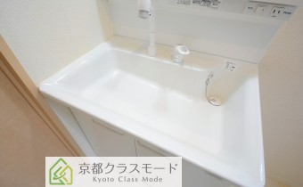 シャンプードレッサー