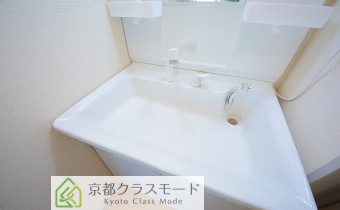 シャンプードレッサー