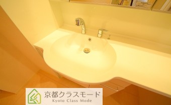 シャンプードレッサータイプ