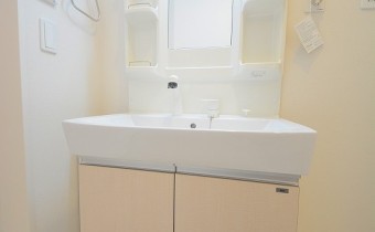 シャンプードレッサー