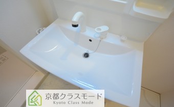 シャンプードレッサー