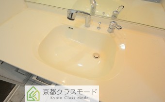 シャンプードレッサー