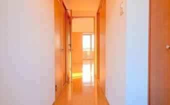 玄関　※室内写真は1LDKタイプのものです。