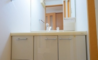 シャンプードレッサータイプ　※室内写真は1LDKタイプのものです。